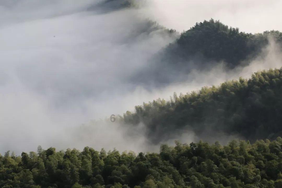 精灵嘉年华